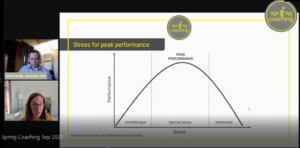 Webinar on stress. Bell curve showing stress